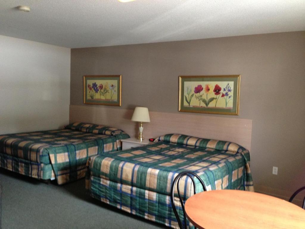 Settler'S Inn & Motel Plaster Rock Eksteriør billede